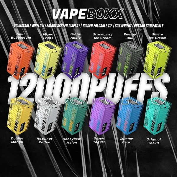 vapeboxx_12000_puffs_disposable